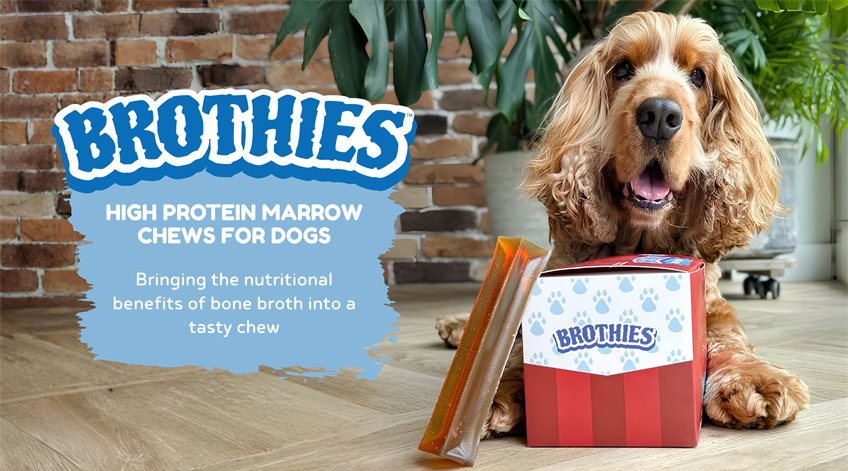Brothies banner image 720x400 (1).png
